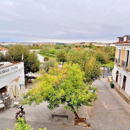 Apartamento Paseo De La Ribera 科爾多瓦 外观 照片